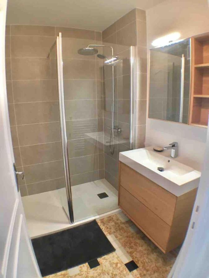 Annecy Center 2 Steps From The Lake Cozy And Renovated! Ngoại thất bức ảnh