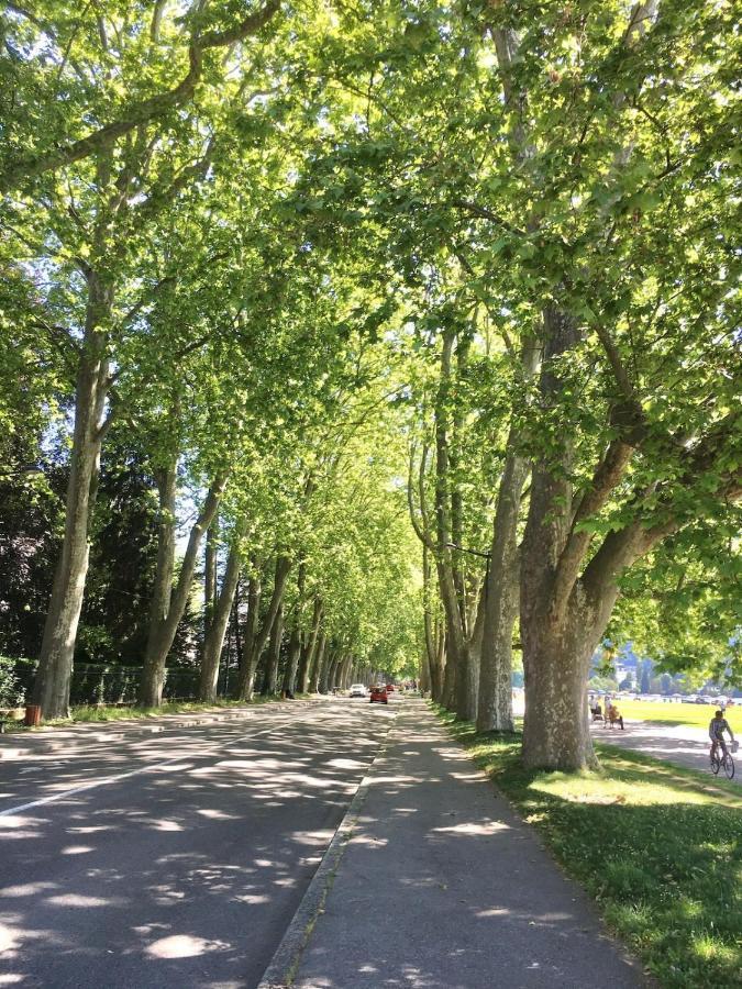 Annecy Center 2 Steps From The Lake Cozy And Renovated! Ngoại thất bức ảnh